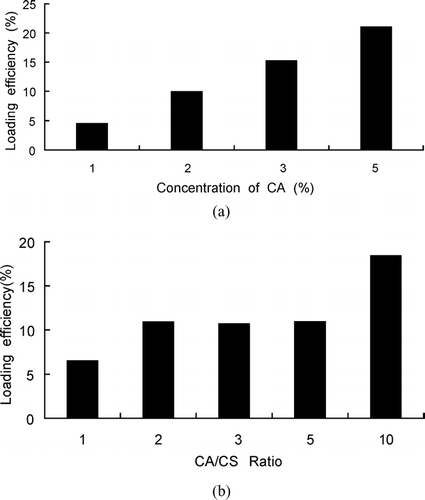 FIG. 3 Effect on loading efficiency of CACM. (a) CACM made from different CA concentration; (b) CACM made from different ratio of CA and CS.