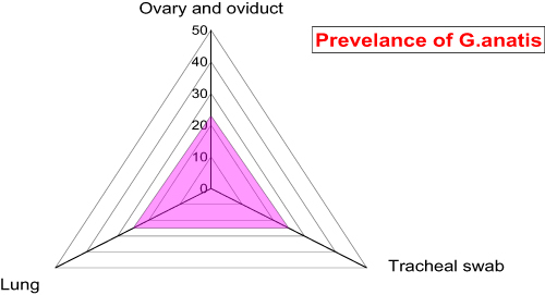 Figure 1 Prevalence of G. anatis among different examined samples obtained from diseased layers.