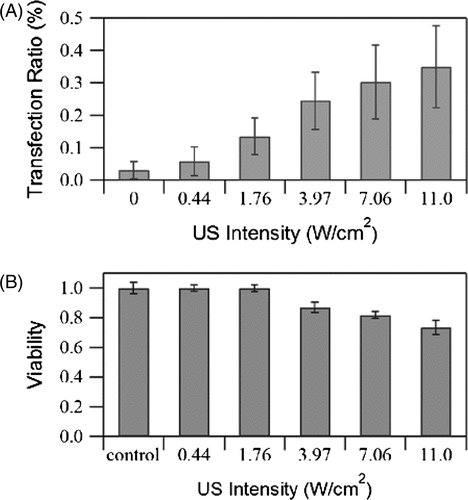 Figure 5. Effects of US intensity on (A) GFP transfection rate and (B) cell viability measured immediately after exposure. Burst duty ratio 10%, pulse repetition frequency 5 kHz, insonation time 60 s, microbubble concentration 10%. The data is averaged from three independent replicates (12 samples) and shown as the mean ± standard deviation.
