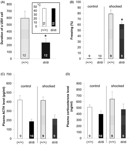 Figure 4. Measures obtained in conditioned fear testing in adult male Brattleboro rats (means + SEM). (A) shows the duration of ultrasonic calls emitted by vasopressin-deficient (di/di) males compared to non-AVP-deficit controls (+/+) during the trauma (shocked) or without foot-shock (control). The inset in (A) shows the similar temperature pain sensitivity of animals of the two genotypes as indicated by the hot-plate test. (B) shows the duration of freezing when re-exposed to the apparatus 24 h after conditioning or control treatment. (C) shows the plasma concentration for adrenocorticotropic hormone (ACTH) and (D) that for corticosterone collected after the end of the re-exposure session.*p < 0.05, t-test.