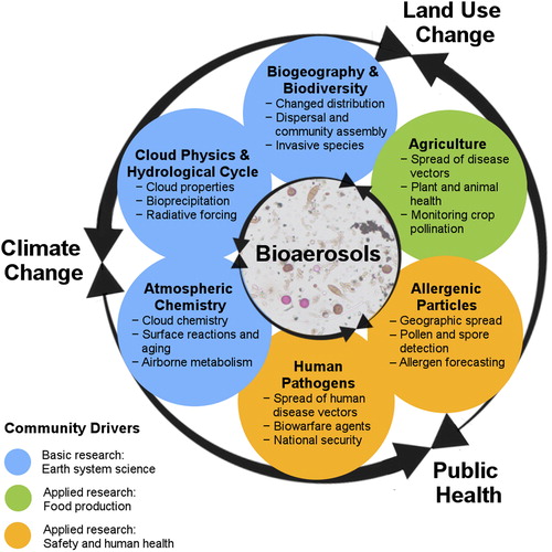 Figure 1. Motivating topics of outdoor bioaerosol field measurements (circles) from the perspective of different research communities, with bulleted examples of application. These are embedded into the context of current scientific and social grand challenges, i.e., climate change, land use change, and public health, and categorized by the primary community drivers. Community drivers are listed separately to highlight differences in communities, although there is also substantial overlap. The drivers primarily imply differences in scientific motivation (e.g., basic vs. applied questions), funding source (e.g., research agencies, governmental, industrial), and result dissemination strategy (e.g., peer-reviewed publications, reports, proprietary information). Dual-directional arrows visually represent overlap and interaction between grand challenges and between fields of bioaerosol research. All topics are influenced in some measure by each of the three grand challenges listed. Similarly, each of the topic circles can have some influence from each of the community drivers (color), but in each case, the weight of influence is different. Central image shows a mixture of bioaerosols analyzed via optical microscopy.