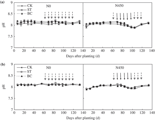 Figure 3. Soil pH in the 0–20 cm depth as affected by soil treatment and nitrogen (N) application in (a) 2013 and (b) 2014. ‘ Display full size‘ represents irrigation, ‘ Display full size‘ represents fertigation. Error bars represent the standard error (SE; n = 3). Abbreviations: N0, no N fertilizer; N450, 450 kg N ha−1; CK, no amendment; ST, cotton (Gossypium hirsutum L.) straw amendment; BC, biochar amendment.