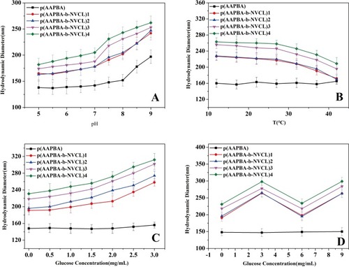 Figure 3 Hydrodynamic diameters at different: (A) pH, (B) temperatures, (C) glucose concentration, and (D) reversible glucose sensitivity.