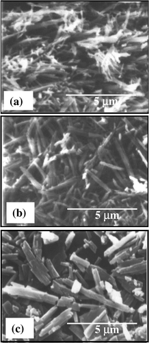 Figure 1. SEM images of PbS nanorods synthesized with polypyrrole concentrations: (a) 5 wt%, (b) 10 wt% and (c) 15 wt%.