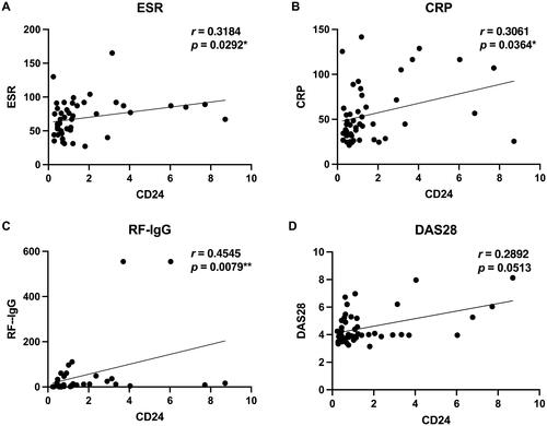 Figure 2. Correlation between serum level of soluble CD24 with RA patient clinical manifestation and laboratory features. The plots demonstrate laboratory features of RA including ESR (A), CRP (B), and RF-IgG isotype (C). and disease activity score of 28 for RA (D). Spearman’s correlation analysis was performed between sCD24 concentration and each of these parameters. ESR, CRP and RF-IgG showed a strong positive correlation with soluble CD24 in RA serum. *p < 0.05, **p < 0.01 (two-tailed spearman’s rank correlation test). n: the number of sCD24-positive patients; N: the number of total patients. −: normal; +: increased. ***p < 0.001 (kruskal–wallis test followed by dunn’s posttest for multiple comparisons).