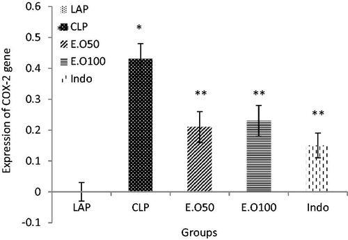 Figure 4. The effects of M. longifolia E.Os on COX-2 expression level in the septic rats. E.O: M. longifolia essential oils (50 & 100 mg kg b.w) treated groups. *p < 0.05 is significantly considered between LAP and CLP group. **p < 0.05 is significantly considered between CLP and treated groups. Data are presented as mean ± SD.