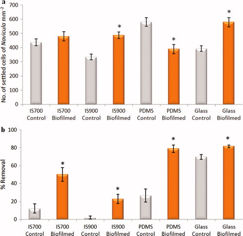 Figure 11. Effect of bacterial biofilms formed form C. marina on settlement and adhesion strength of cells of N. incerta on a range of test surfaces. (a) Mean density of settled cells on control (non-biofilmed) and biofilmed surfaces obtained from the count of three replicate slides (n = 90). Error bars represent ± 2×SE. (b) Mean percentage removal of cells from control and biofilmed surfaces calculated from the counts of three replicates exposed to 40 Pa shear stress compared with three unexposed replicate slides. Error bars represent ± 2×SE were calculated from arcsine-transformed data. For the two figures, asterisks show the values that are significantly different to control surfaces (ANOVA, p < 0.05).