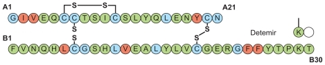 Figure 1 Molecular structure of insulin detemir.