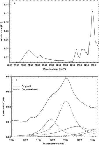 FIGURE 3 (a) Original FTIR spectrum; and (b) deconvolved spectrum of BSG powder at room temperature.