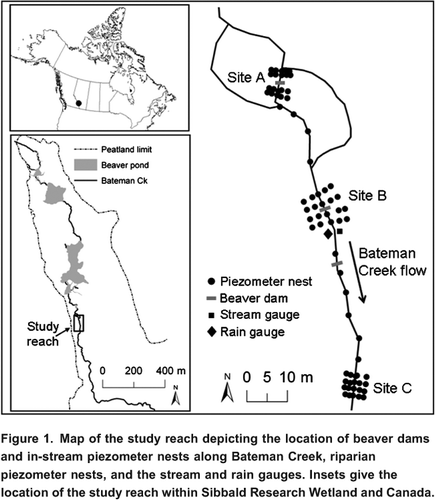 Figure 1. Map of the study reach depicting the location of beaver dams and in-stream piezometer nests along Bateman Creek, riparian piezometer nests, and the stream and rain gauges. Insets give the location of the study reach within Sibbald Research Wetland and Canada.