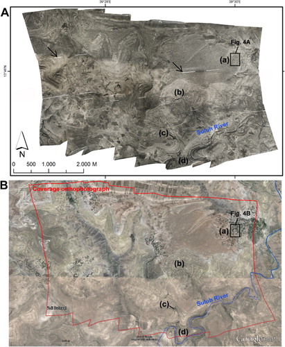 Figure 3. (A) 1936 ortho-mosaic (arrow indicates areas with insufficient overlap for ortho-mosaic creation) and (B) 2006 Google Earth imagery for the same area (with the Suluh River mapped in blue). (a)–(d) are explained in the text and in Figures 4 and 5. The ortho-mosaic can also be viewed dynamically at http://geoweb.ugent.be/physical-geography/research/environment-ethiopia.