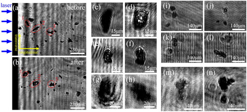 Figure 5. Transient characteristics of laser-induced debris acquired by comparing two successive images at different time delays. (a) vs. (b), (i) vs. (j), and (k) vs. (l) at 3982–5504 ns, (c) vs. (d), and (e) vs. (f) at 3985–5997 ns, (g) vs. (h), and (m) vs. (n) at 5987–7495 ns.