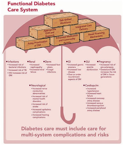 Figure 1 Functional diabetes care system as a framework for comprehensive population health.
