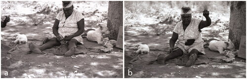 Figure 4. Senior Worrorra woman May Langi using the spindle method: (a) teasing out human hair before spinning it into yarn; and (b) using a spindle to spin hair string (Photographs: Kim Akerman, Mowanjum 1974). Produced with thanks from Mr Donny Woolagoodja and Mrs Janet Oobagooma.
