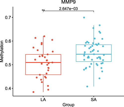 Figure 5 The difference in MMP9 methylation levels between group LA and group SA. The MMP9 gene was relatively hypomethylated in group LA.