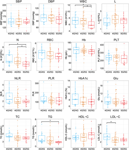 Figure 5 Differences in clinical characteristics of individuals carrying various PAI-1 genotypes in the DM+HTN cohort. *P<0.05.