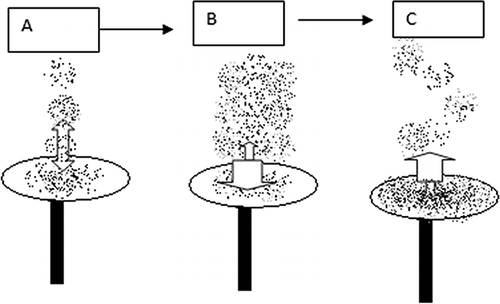 Figure 1. Illustration of three case scenarios to explain positive and negative artifacts from moisture adsorption and desorption in TEOM mass measurement: (A) moisture adsorption and desorption from TEOM filter and collected PM are in equilibrium, the “true” mass concentration is measured; (B) during an increase RH, TEOM filter moisture absorption rate is faster than desorption rate, resulting in a higher TEOM mass concentration measurement (ΔM + absorbed moisture) than the “true” value (ΔM); (C) during decrease in RH, TEOM filter moisture absorption rate is slower than desorption rate, resulting in a lower mass concentration (ΔM − desorbed moisture) than the “true” mass (ΔM).
