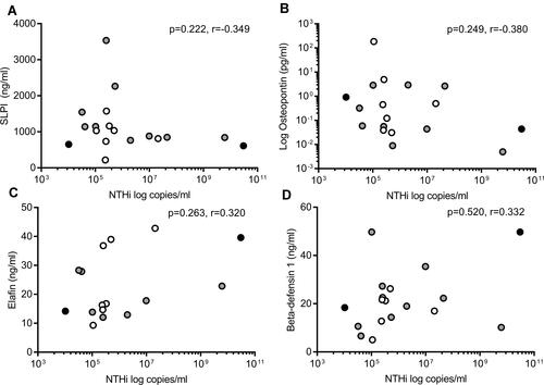 Figure 3 Correlation of NTHi presence in the airway and peptide levels in healthy donors (n=7, white dots), patients with COPD (n=9, grey dots) and asthma (n=2, black dots), tested in duplicate. (A) SLPI, (B) osteopontin, (C) elafin and (D) beta defensin-1.