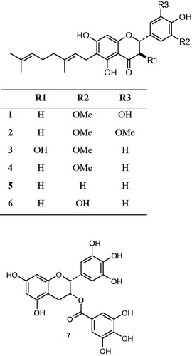 Figure 1. Structures of C-geranylated flavanones (1–6) from P. tomentosa fruits and epigallocatechin gallate (7) used for bio-activity testing.