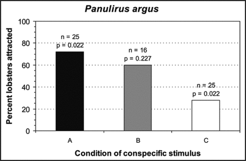 Figure 1 Results of Y-maze experiments investigating the effects of scents emanating from intact (A), non-lethally injured (B) or lethally-injured (C) conspecifics on shelter choice by individuals of Panulirus argus. p-values were based on one-tail binomial tests to test for attraction, where null probability of choosing a shelter receiving scents emanating from the stimulus = 0.5.