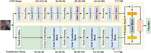 Figure 3. Overall structure of the proposed SW-Net.