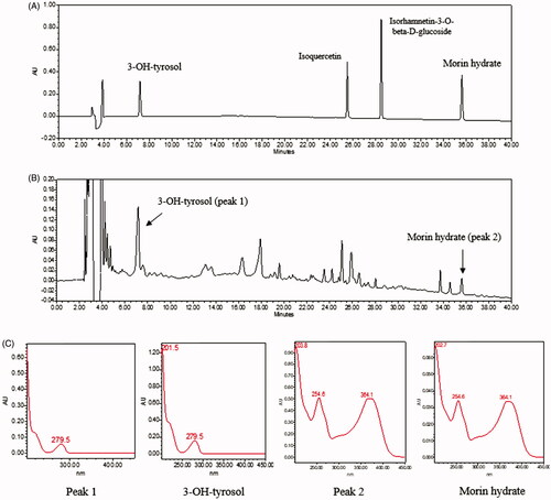 Figure 7. Chromatography of KSE (A) and phenolic compound standards (B) at 220 nm in HPLC. (C) UV spectra curves of phenolic compounds from KSE and standards.