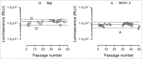 Figure 4. Nanoluciferase expression stability. The selected nanoluciferase-expressing Raji (left graph) and SKOV-3 (right graph) clones were monitored during 50 passages for nanoluciferase expression. Three thousand cells were lysed with Triton X-100, and the resulting luminescence signal was measured following substrate addition as described in the Materials and Methods section. Each dot represents an individual determination, and the median ± 40% is shown as large and small dotted lines, respectively.