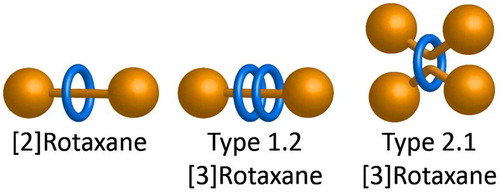 Figure 1. (colour online) Schematic representations of [2]- and [3]rotaxanes illustrating the two types of three-component rotaxanes that result from either doubly encircled dumbbells (type 1.2) or doubly threaded rings (type 2.1).
