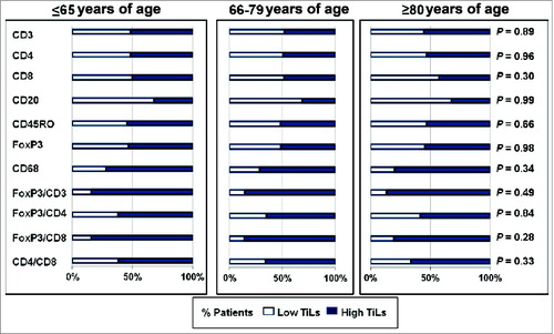 Figure 1. Lack of association between immune markers and age groups in non-small cell lung cancer patients. Tissue microarrays were histologically examined to assess potential differences between tumor-infiltrating lymphocytes (TiLs) among the 3 age groups. The P-value was assessed by Cochran-Armitage test (2-sided). *CD68 is a marker for tumor-associated macrophages.
