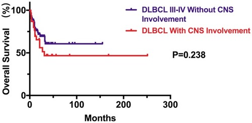 Figure 6 Kaplan–Meier curve of OS time between the 38 patients with CNS involvement and 40 stage III-IV DLBCL cases without CNS involvement.