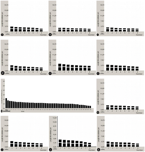 Figure 2. Idiograms of Oxytropis taxa. (a) O. kotschyana; (b) O. pallasii; (c) O. pilosa; (d) O. savellanica; (e) O. persica; (f) O. albana; (g) O. lazica; (h) O. argyroleuca; (i) O. aucheri; (j) O. karjaginii; (k) O. lupinoides. Bar: 10 μm.