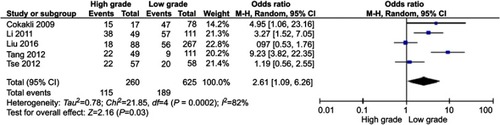 Figure 4 The pooled OR from studies in high and low grade of HCC. Pooled results of CAV-1 overexpression in different grades of HCC. The OR was 2.61, 95% CI=1.09–6.26, p=0.03.Abbreviations: HCC, Hepatocellular carcinoma; ORs, Odds ratio; CI, Confidence interval.