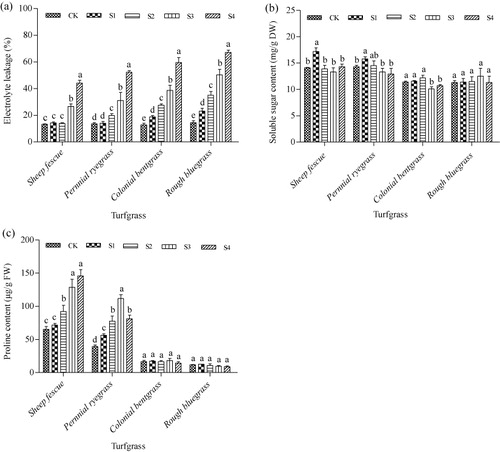 Figure 5. Effect of SO2 on EL (a), soluble sugar (b), and proline contents (c) in leaves of four cool-season turfgrass species.Note: Mean values are presented with vertical error bars representing the standard deviations (n = 3). Different letters above the column within the same turfgrass species indicate significant differences among treatments (P < 0.05).