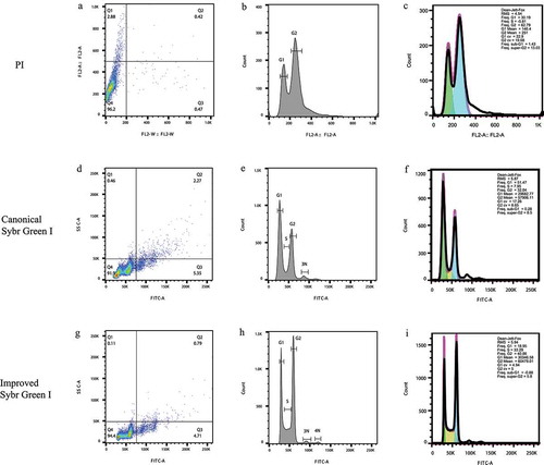 Figure 1. The cytometry results of S. cerevisiae S288C under the three staining conditions including PI, the canonical Sybr Green I method, and the improved Sybr Green I method. (a-c). The dot plot, histogram, and automatic cell cycle statistics of S288C stained with PI. (d-f). The dot plot, histogram, and automatic cell cycle statistics of S288C stained via the canonical Sybr Green I method. (g-i). The dot plot, histogram, and automatic cell cycle statistics of S288C stained via the improved Sybr Green I method. (c,f,i). In the cell cycle statistics, the green color means the automatically analyzed G1 phase frequencies, and the blue color means the G2 phase ones, and the yellow color means the S phase ones