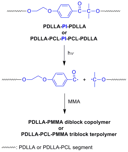 Scheme 3. Synthesis of diblock copolymers and triblock terpolymers.