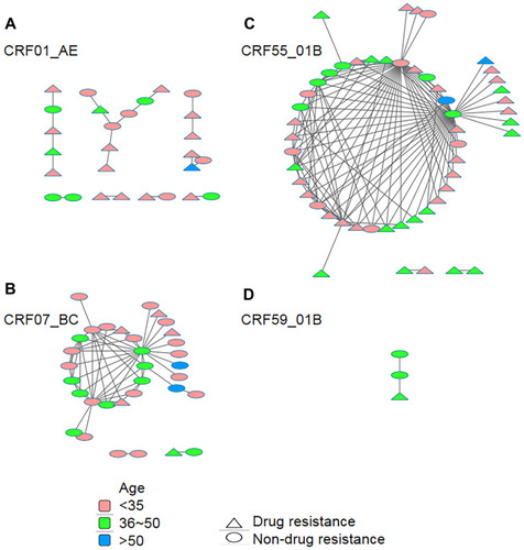 Figure 2 Age- and drug-resistance-associated genetic transmission networks of different genotype sequences. The networks were constructed using Cytoscape with a pairwise genetic distance analysed by using HyPhy software. A total of 27 CRF01_AE sequences (A), 33 CRF07_BC sequences (B), 52 CRF55_01B sequences (C), and 3 CRF59_01B sequences (D) were used for genetic transmission network analysis, and the largest cluster had 48 sequences. Different colours and shapes represent sequences from different age groups or those showing drug resistance or not, respectively.