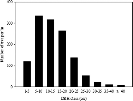 Figure 1. The DBH class distributions of Quercus liaotungensis in the forest plot.