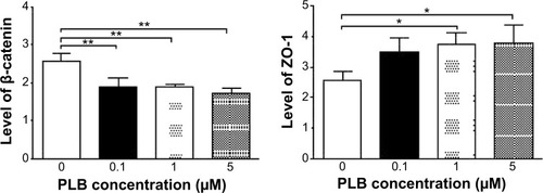 Figure 23 Dose effect of PLB on the expression level of selected EMT markers in PC-3 cells.