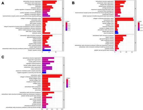 Figure 3 Gene Ontology (GO) analysis of all DEGs. (A) the top 10 enriched GO terms in biological process (BP), cellular component (CC), and molecular function (MF) of GSE116250 dataset; (B), the top 10 enriched GO terms in biological process (BP), cellular component (CC), and molecular function (MF) of GSE462224 dataset; (C), the top 10 enriched GO terms in biological process (BP), cellular component (CC), and molecular function (MF) of GSE5406 dataset.