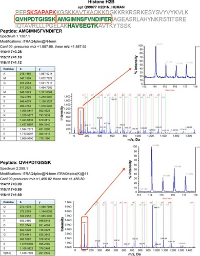 Figure 3 Proteomics data supports histone regulation by combination therapy. MS/MS spectra are shown for two iTRAQ-labeled peptides each from histones H2A and H2B, respectively. All peptides were identified with high (99%) confidence with ProteinPilot software. Tables illustrate b- and y-ions matched with experimental data. iTRAQ reporter ions are highlighted in the raw spectra panes. Reporter peaks at m/z =114.1, reflecting combination therapy are considerably more prominent than reporter peaks reflecting single-drug therapy (m/z =115.1 nimesulide, m/z =116.1 cisplatin) or control samples (m/z =117.1). Regulatory ratios were calculated with ProteinPilot software from raw reporter areas, properly accounting for isotope correction and normalization. As nuclei were removed by a centrifugation step during the experimental workflow, ratios observed in the shotgun proteomics experiment should reflect the relative abundance of proteins in the cytosol. We interpret the increased relative ratio of H2A and H2B in the combination therapy sample as further support for increased apoptosis in combination-treated cells, possibly leading to increased release of these histones from nuclei into the cytosolic environment.