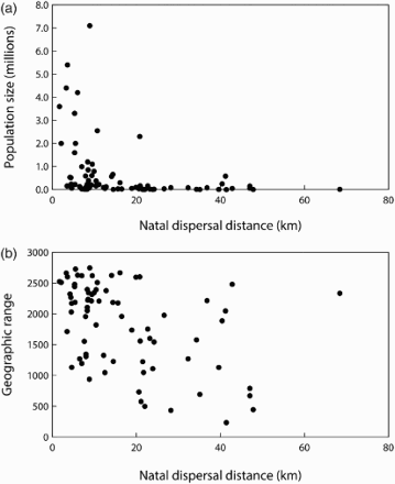 Figure 5. Relationships of (a) population size and (b) range size (number of occupied 10-km squares in Britain) with mean natal dispersal, estimated from ring recoveries for 75 British bird species (population size: r = -0.794, P < 0.001; range size: r = -0.601, P < 0.001: both after controlling for phylogeny). Redrawn from Paradis et al (Citation1998).