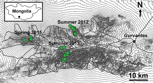 Figure 1. Map of study area in southern Mongolia where green circles show rodent trapping sites in each year. Thin grey lines are 20-meter contour lines and thicker grey lines show small roads that traverse the study area. The town of Gurvantes is shown by the filled grey circle.