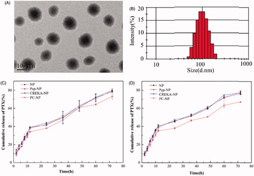 Figure 2. TEM image (A) and particle size distribution (B) of PC-NP-PTX. PTX release profiles of various nanoparticles in PBS (pH 5.0) (C) and PBS (pH 7.4) (D) with 0.5% (w/v) Tween 80.