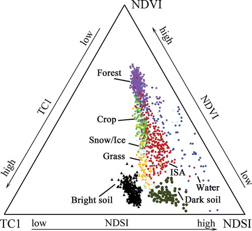 Figure 2. Triangular scatterplot of NDVI, TC1, and NDSI.