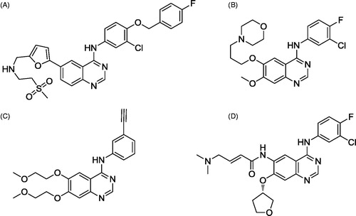 Figure 1. Structures of EGFR inhibitors.