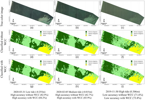 Figure 7. True colour composite and classified images from Sentinel-2 satellites at high and low tides. (a), (b), and (c) show the true colour composite. (d), (e), (f) show the classification result without water column correction and (g), (h), (i) show the classification result with water column correction. (a), (d), (g) are captured at low tide, (b), (e), (h) at medium tide and (c), (f), (i) at high tide.