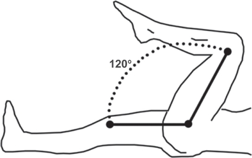 Figure 1 Range of motion in terms of active flexion of hip: knee flexion.