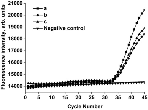 Figure 5. Fluorescence TaqMan detection result for HBV in standard serum.Note: Curves (a, b, c) are three replicate samples of validation groups (equal concentrations of HBV DNA reference material were added into serum). Negative control is the group without HBV DNA template.