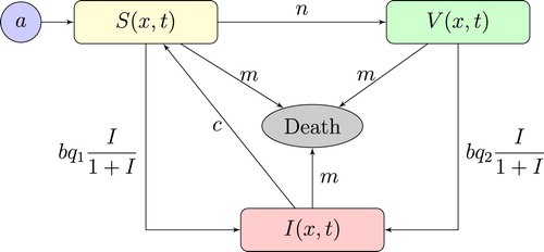 Figure 1. Modeling scheme.