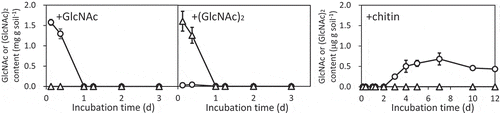 Figure 2. GlcNAc and (GlcNAc)2 contents in the incubated upland soil supplemented with 0.2% (w/v) GlcNAc (right), (GlcNAc)2 (middle), and chitin (right). GlcNAc contents, circles; (GlcNAc)2, triangles. Soil samples were prepared in duplicate and the average contents are shown. Error bars indicate the maximum and minimum contents of the duplicated soil samples.